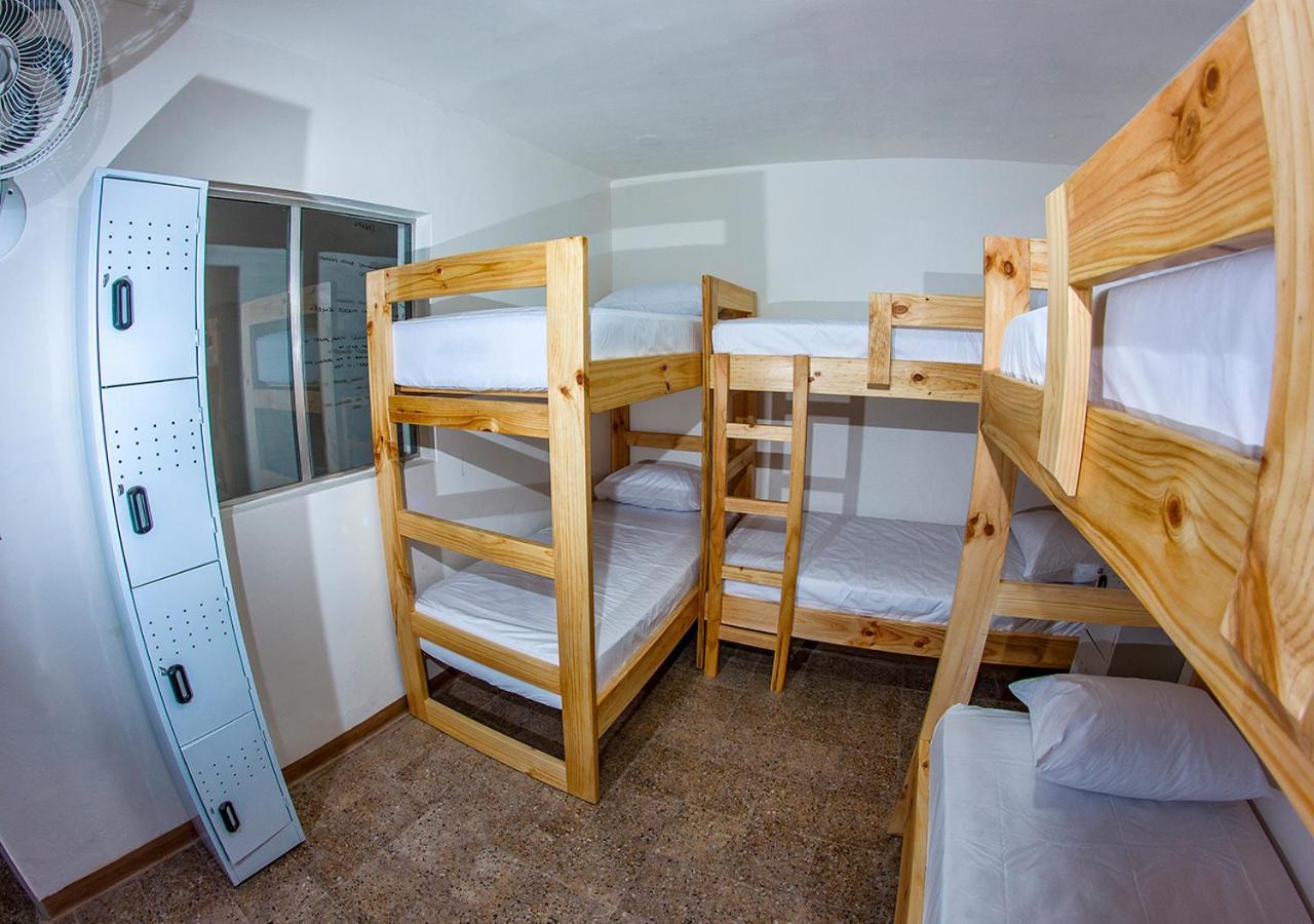 Charlie Palace Hostel Меделин Стая снимка